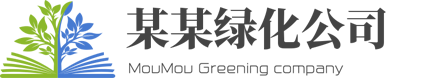 bb视讯(官方)APP下载安装IOS/安卓通用版/手机版